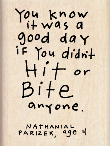 Inkadinkado Mounted Rubber Stamp DD-You Know It Was A Good Day 3"X2.25